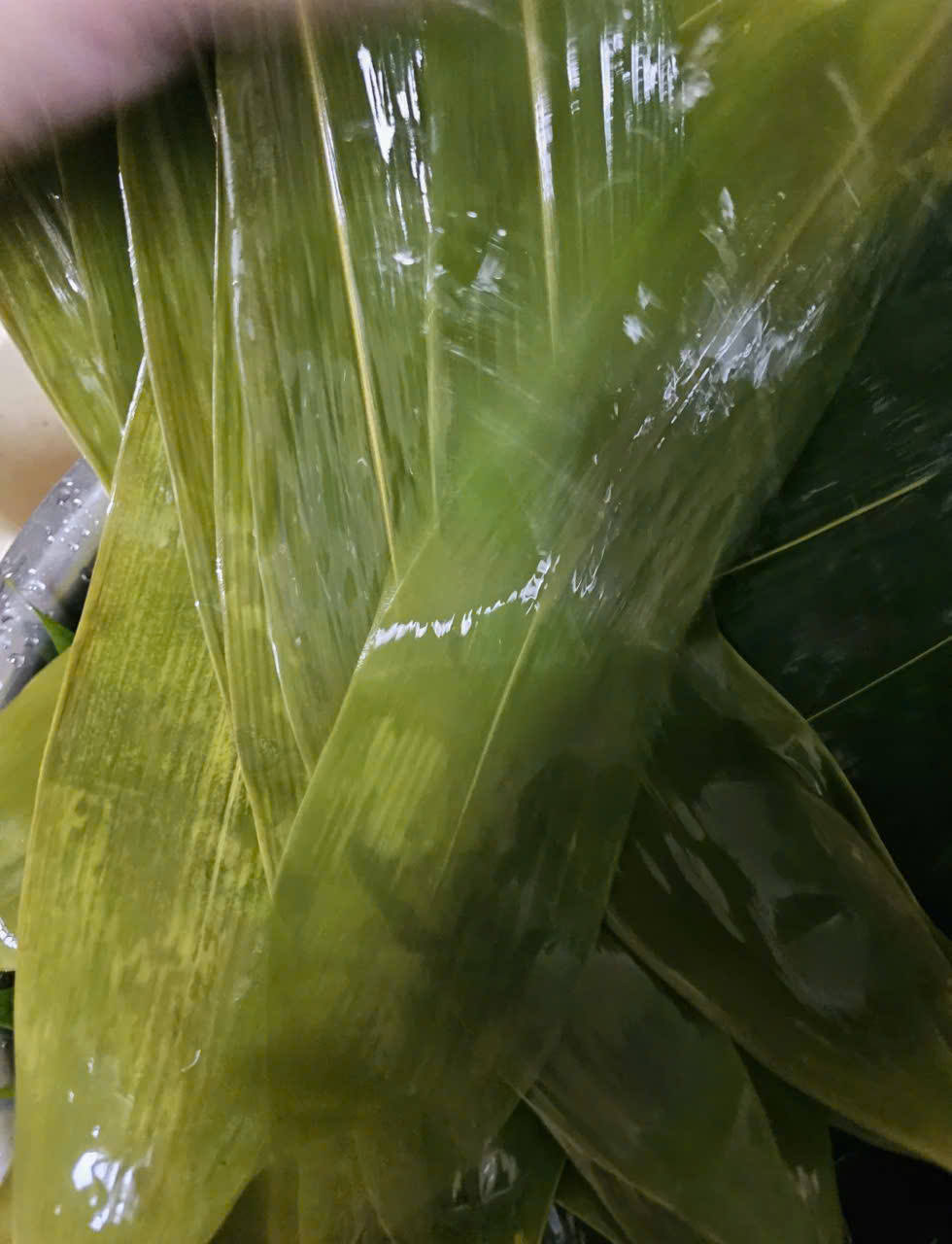 z6633819482228_6b0481da5bd47842dc9f52222c1eba9e